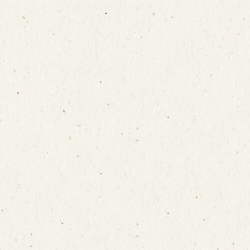 Scrapbook Customs - 6 x 6 Paper Pack - Natural Materials