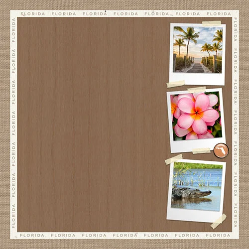 Scrapbook Customs - 12 x 12 Double Sided Paper - Florida Natural Craft Scenes 2 Scrapbook Customs - 12 x 12 Double Sided Paper - Florida Natural Craft Scenes