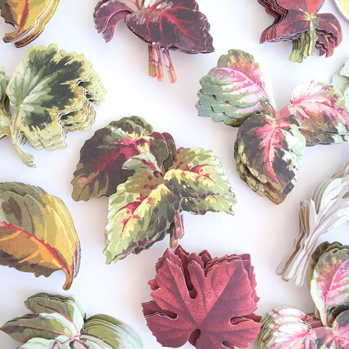 Anna Griffin - Stickers - Foliage