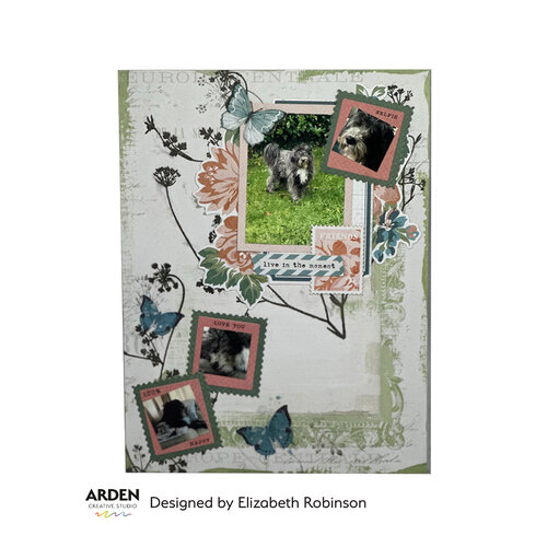Arden Creative Studio - Page Starters Collection - Rub-On Transfer Set