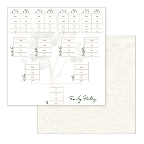 Scrapbook.com - Ancestry - Patterned Cardstock Paper Pad - Double Sided - 12 x 12 - 15 Sheets 3 Scrapbook.com - Ancestry - Patterned Cardstock Paper Pad - Double Sided - 12 x 12 - 15 Sheets