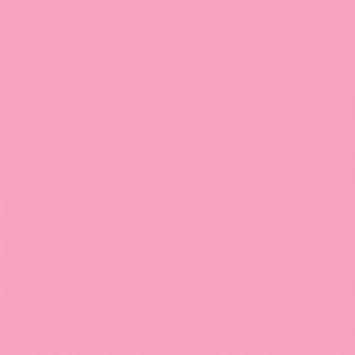 Echo Park - Plan On It Collection - 12 x 12 Double Sided Paper - Pink - Blue 2 Echo Park - Plan On It Collection - 12 x 12 Double Sided Paper - Pink - Blue