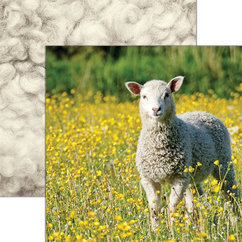 Reminisce - Oh Sheep Collection - 12 x 12 Double Sided Paper - Spring Stroll 1 Reminisce - Oh Sheep Collection - 12 x 12 Double Sided Paper - Spring Stroll