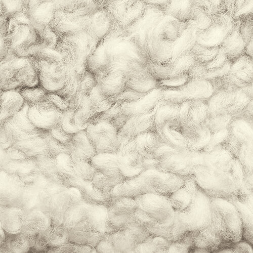 Reminisce - Oh Sheep Collection - 12 x 12 Double Sided Paper - Spring Stroll 3 Reminisce - Oh Sheep Collection - 12 x 12 Double Sided Paper - Spring Stroll