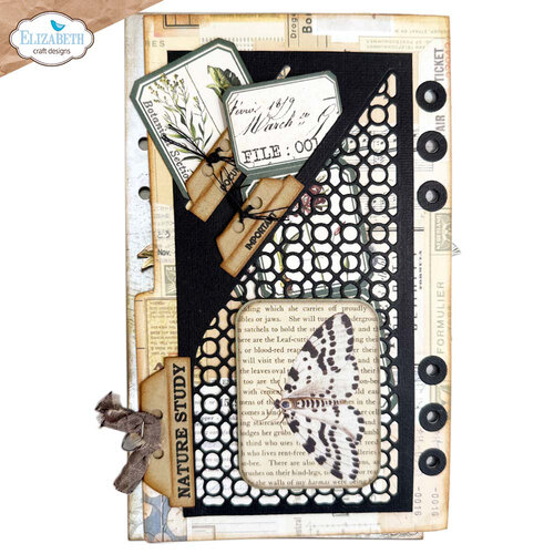 Elizabeth Craft Designs - Botanical Blend Collection - Dies - TN Folder 5 Elizabeth Craft Designs - Botanical Blend Collection - Dies - TN Folder