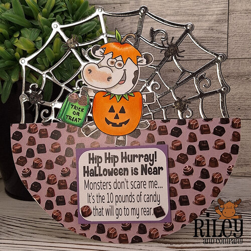 Riley and Company - Cut-Ups Collection - Dies - Overlay - Spiderweb