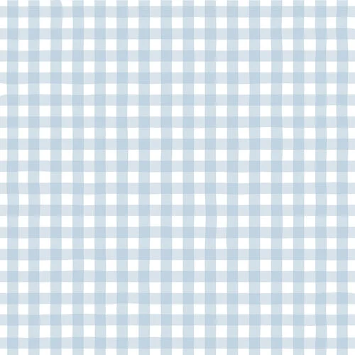 Echo Park - Winter Collection - 12 x 12 Double Sided Paper - Winter Gingham