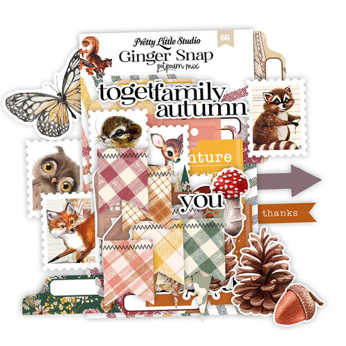 Pretty Little Studio - Ginger Snap Collection - Die-Cuts - Potpourri Mix