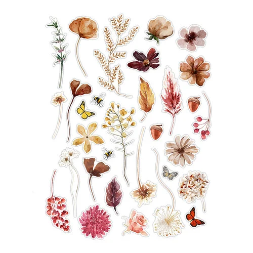 Pretty Little Studio - Ginger Snap Collection - Die-Cuts - Dried Flowers 5 Pretty Little Studio - Ginger Snap Collection - Die-Cuts - Dried Flowers