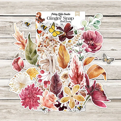 Pretty Little Studio - Ginger Snap Collection - Die-Cuts - Dried Flowers 8 Pretty Little Studio - Ginger Snap Collection - Die-Cuts - Dried Flowers