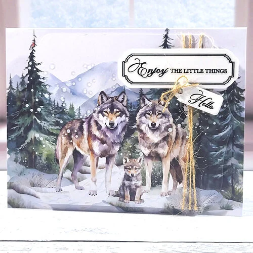 LDRS Creative - Untamed And Unfiltered Collection - Card Kits - Wildwood 16 LDRS Creative - Untamed And Unfiltered Collection - Card Kits - Wildwood