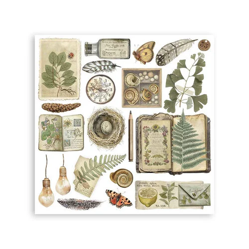Stamperia - Herbarium Silvae Collection - Rub-On Transfers - Assorted Pack