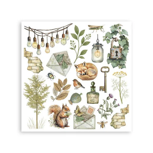 Stamperia - Herbarium Silvae Collection - Rub-On Transfers - Assorted Pack 3 Stamperia - Herbarium Silvae Collection - Rub-On Transfers - Assorted Pack