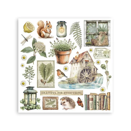Stamperia - Herbarium Silvae Collection - Rub-On Transfers - Assorted Pack 5 Stamperia - Herbarium Silvae Collection - Rub-On Transfers - Assorted Pack