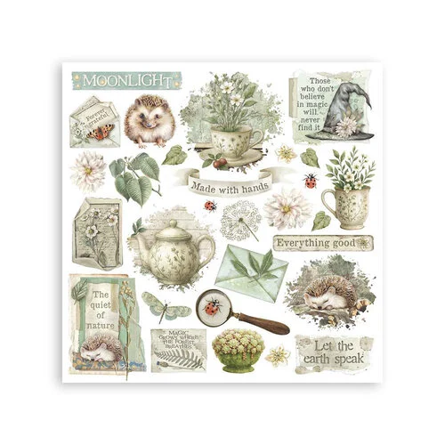 Stamperia - Herbarium Silvae Collection - Rub-On Transfers - Assorted Pack 7 Stamperia - Herbarium Silvae Collection - Rub-On Transfers - Assorted Pack