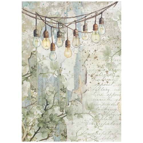 Stamperia - Herbarium Silvae Collection - A6 Rice Paper - Backgrounds - 8 Pack