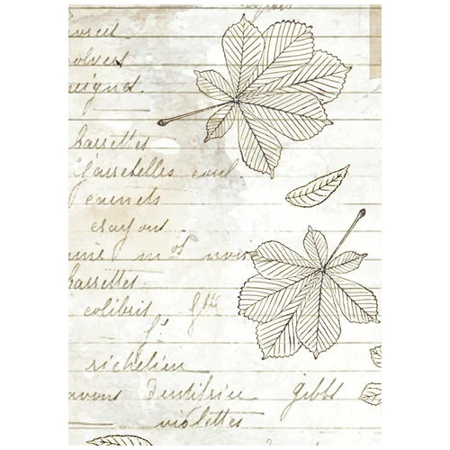 Stamperia - Herbarium Silvae Collection - A6 Rice Paper - Backgrounds - 8 Pack