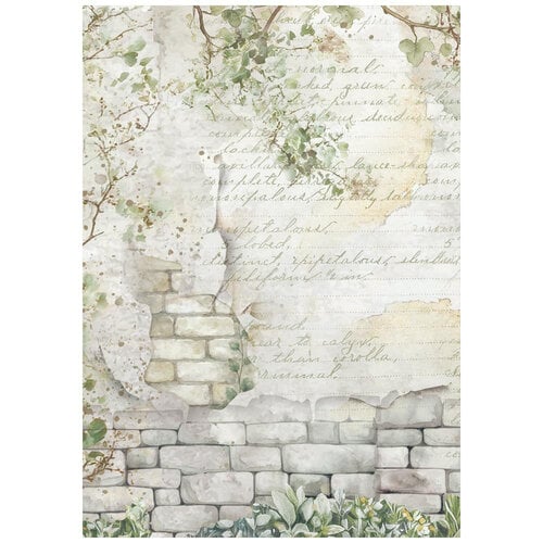 Stamperia - Herbarium Silvae Collection - A6 Rice Paper - Backgrounds - 8 Pack