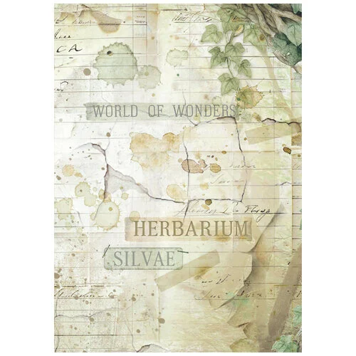 Stamperia - Herbarium Silvae Collection - A6 Rice Paper - Backgrounds - 8 Pack