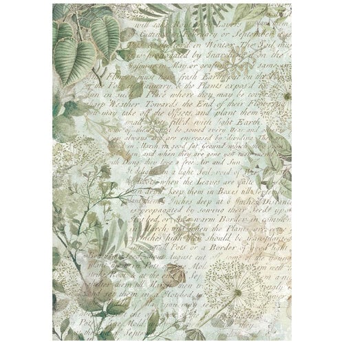 Stamperia - Herbarium Silvae Collection - A6 Rice Paper - Backgrounds - 8 Pack