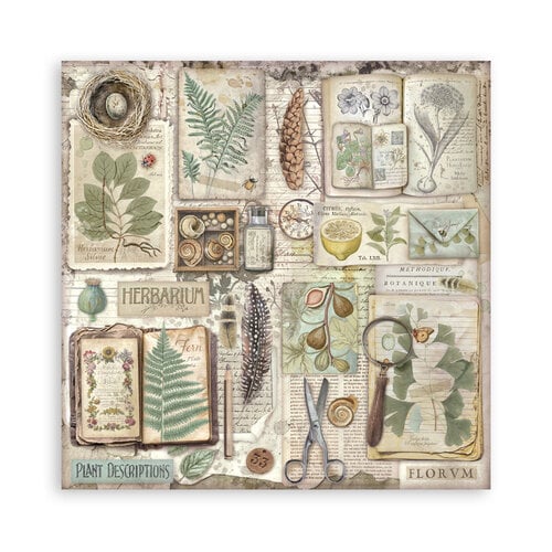 Stamperia - Herbarium Silvae Collection - 8 x 8 Paper Pad - Single Face