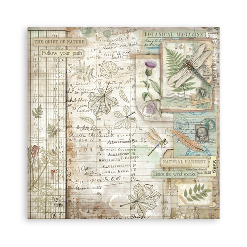 Stamperia - Herbarium Silvae Collection - 8 x 8 Paper Pad - Single Face