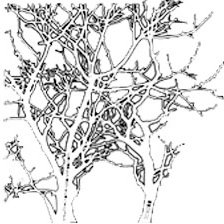 The Crafter's Workshop - 12 x 12 Stencils - Branches