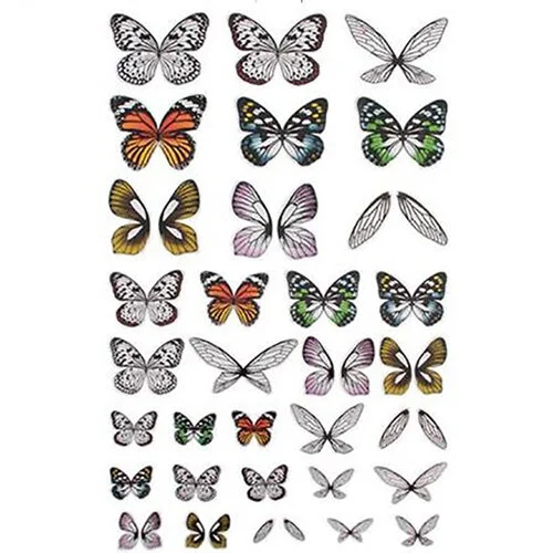 Idea-ology - Tim Holtz - Transparencies - Wings 2 Idea-ology - Tim Holtz - Transparencies - Wings