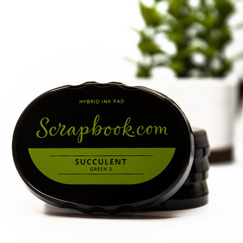 Scrapbook.com - Premium Hybrid Ink Pad - Succulent