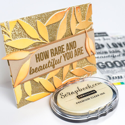 Scrapbook.com - Clear Photopolymer Stamp Set - Encouraging Words 4 Scrapbook.com - Clear Photopolymer Stamp Set - Encouraging Words