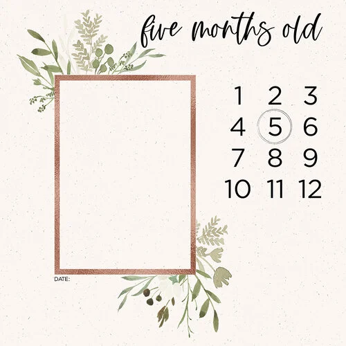 Scrapbook Customs - 12 x 12 Paper Pack - Baby Watercolor Year
