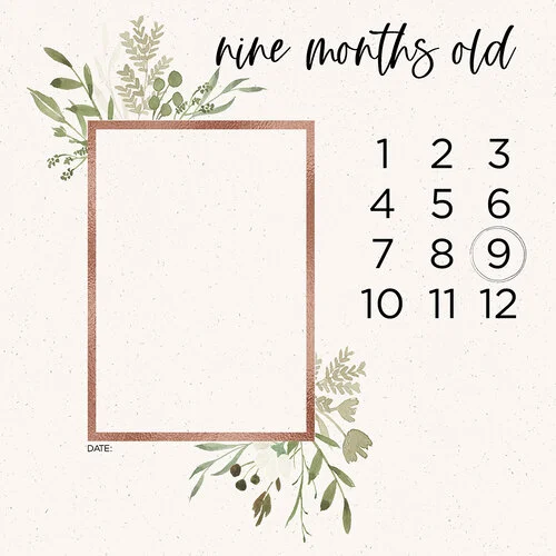 Scrapbook Customs - 12 x 12 Paper Pack - Baby Watercolor Year
