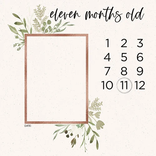 Scrapbook Customs - 12 x 12 Paper Pack - Baby Watercolor Year