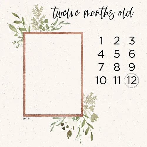 Scrapbook Customs - 12 x 12 Paper Pack - Baby Watercolor Year