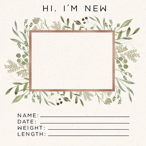 Scrapbook Customs - 12 x 12 Paper Pack - Baby Watercolor Year