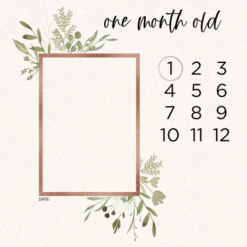 Scrapbook Customs - 12 x 12 Paper Pack - Baby Watercolor Year