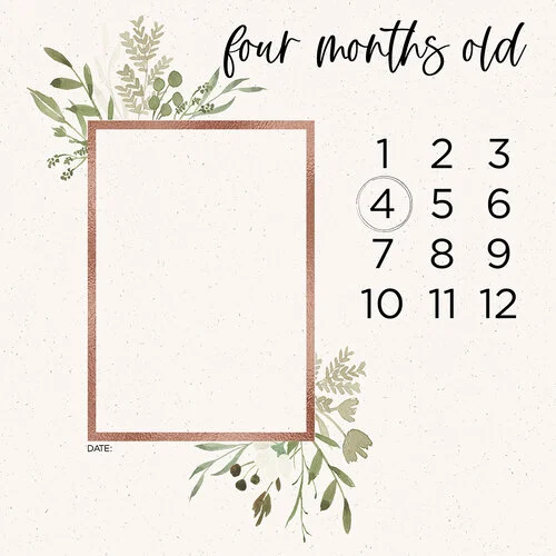 Scrapbook Customs - 12 x 12 Paper Pack - Baby Watercolor Year