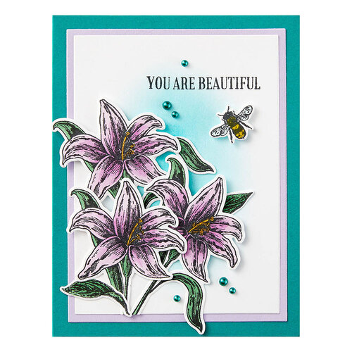 Spellbinders - Simon Hurley - Etched Dies - Beautiful Blooms 4 Spellbinders - Simon Hurley - Etched Dies - Beautiful Blooms