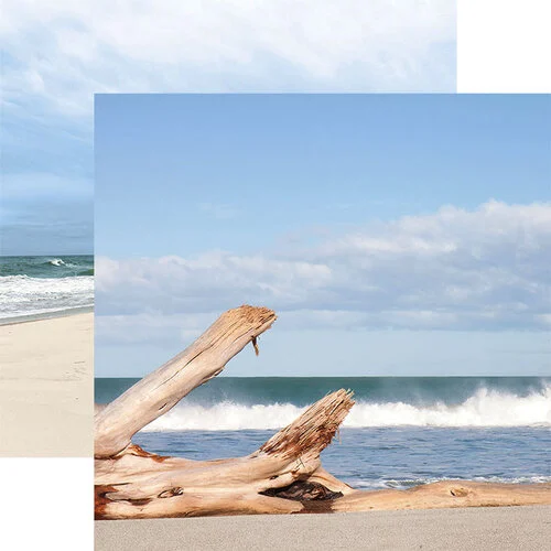 Paper House Productions - 12 x 12 Double Sided Paper - Driftwood