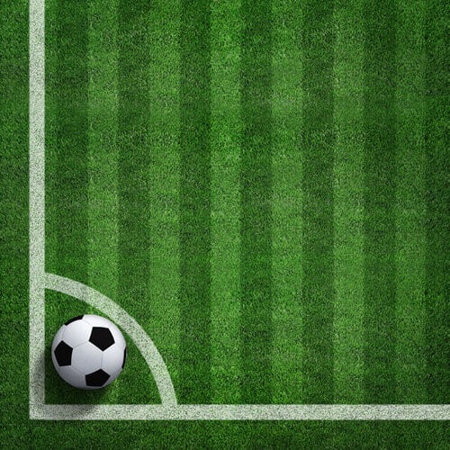 Scrapbook Customs - 12 x 12 Double Sided Paper - Soccer On Field 2 Scrapbook Customs - 12 x 12 Double Sided Paper - Soccer On Field