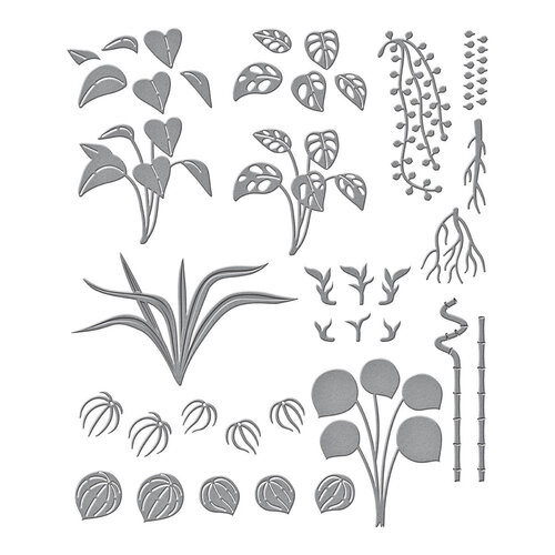 Spellbinders - Propagation Garden Collection - Etched Dies - Propagated Plants 3 Spellbinders - Propagation Garden Collection - Etched Dies - Propagated Plants