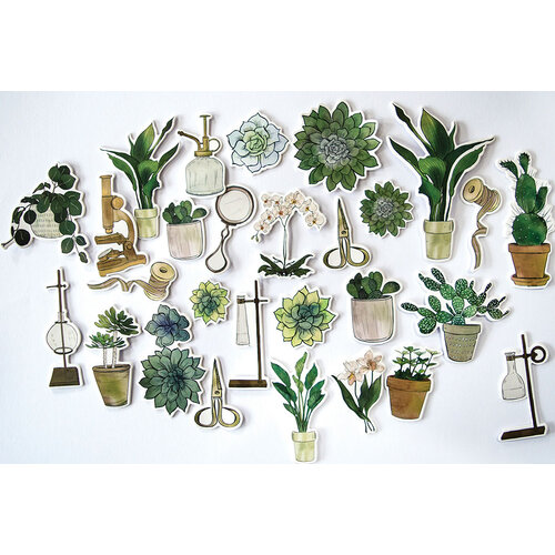 Craft Consortium - Botany Boutique Collection - Ephemera