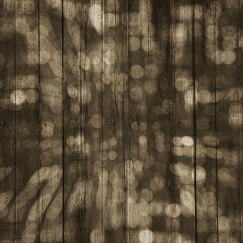 Reminisce - Phantom Grove Collection - 12 x 12 Double Sided Paper - Screaming Tree Forest 3 Reminisce - Phantom Grove Collection - 12 x 12 Double Sided Paper - Screaming Tree Forest