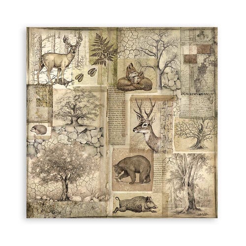 Stamperia - Forest Collection - 12 x 12 Paper Pad - Single Face