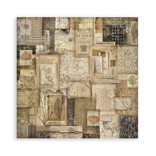 Stamperia - Forest Collection - 12 x 12 Paper Pad - Single Face