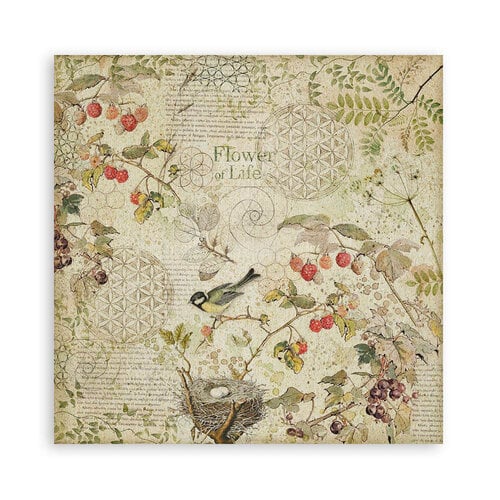 Stamperia - Forest Collection - 12 x 12 Paper Pad - Single Face