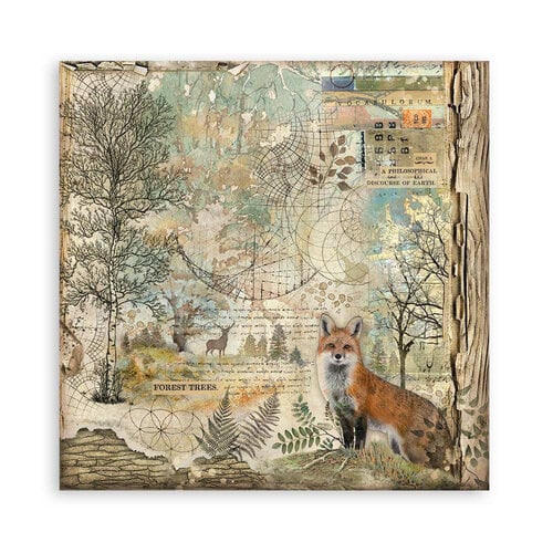 Stamperia - Forest Collection - 12 x 12 Paper Pad - Single Face