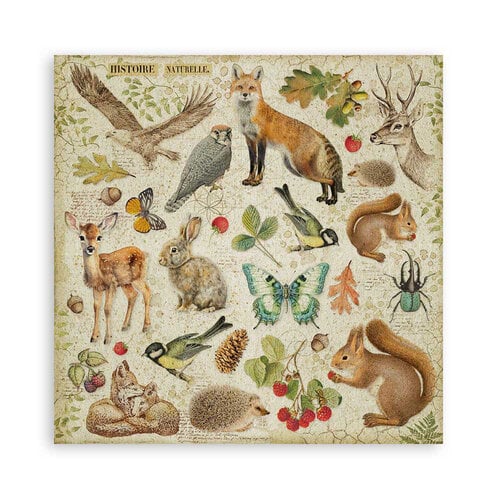 Stamperia - Forest Collection - 12 x 12 Paper Pad - Single Face