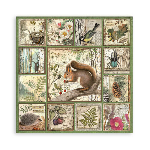 Stamperia - Forest Collection - 12 x 12 Paper Pad - Single Face