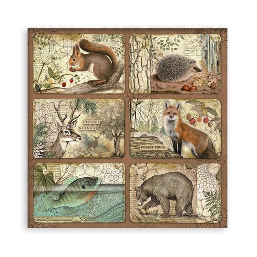 Stamperia - Forest Collection - 12 x 12 Paper Pad - Single Face